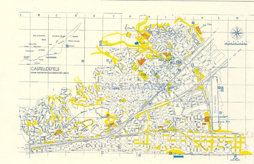 mapa processionaria