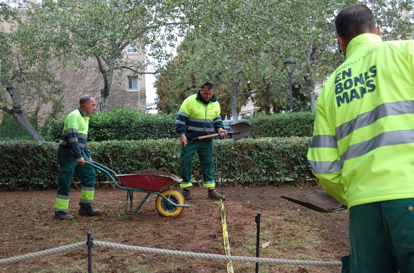 preparacio terreny sembra