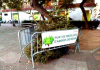 Del 7 al 24 de gener recollim els arbres de Nadal a 11 punts del municipi